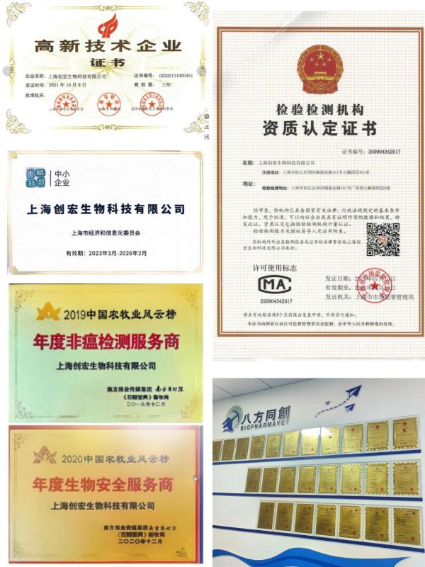 非洲猪瘟变异暗战！上海创宏（八方同创）科技破局猪场防控