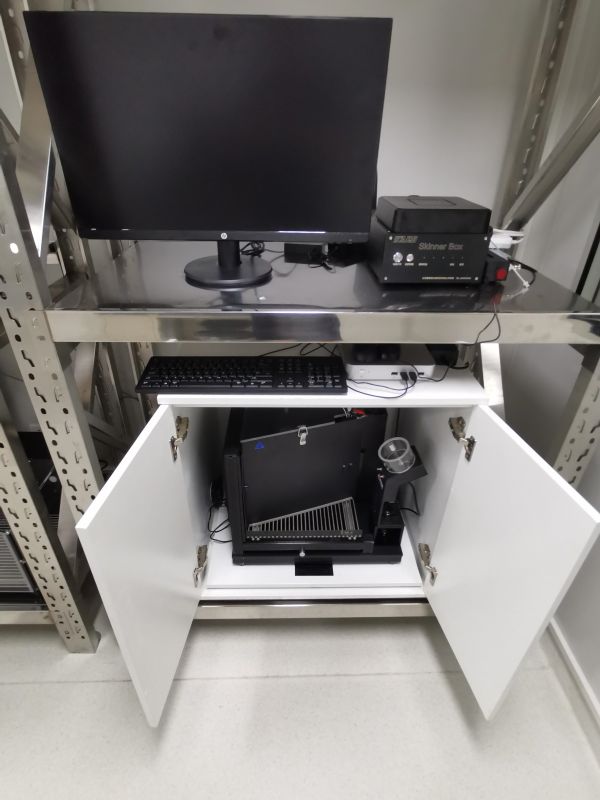 ˹����ʵ��������֪��Ϊ�о��е�Ӧ����ѡ��