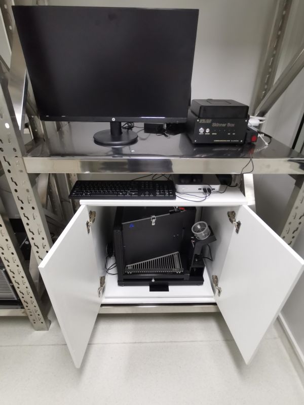 触屏斯金纳箱在行为神经科学研究中的应用与技术选择