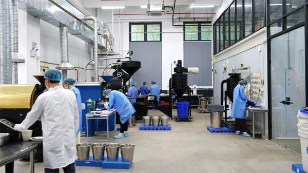 灵感咖啡工厂，质优咖啡豆全链路供应解