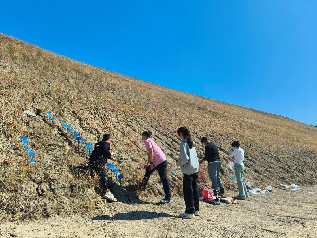 菌珠助荒壤回春，青春绘生态新卷